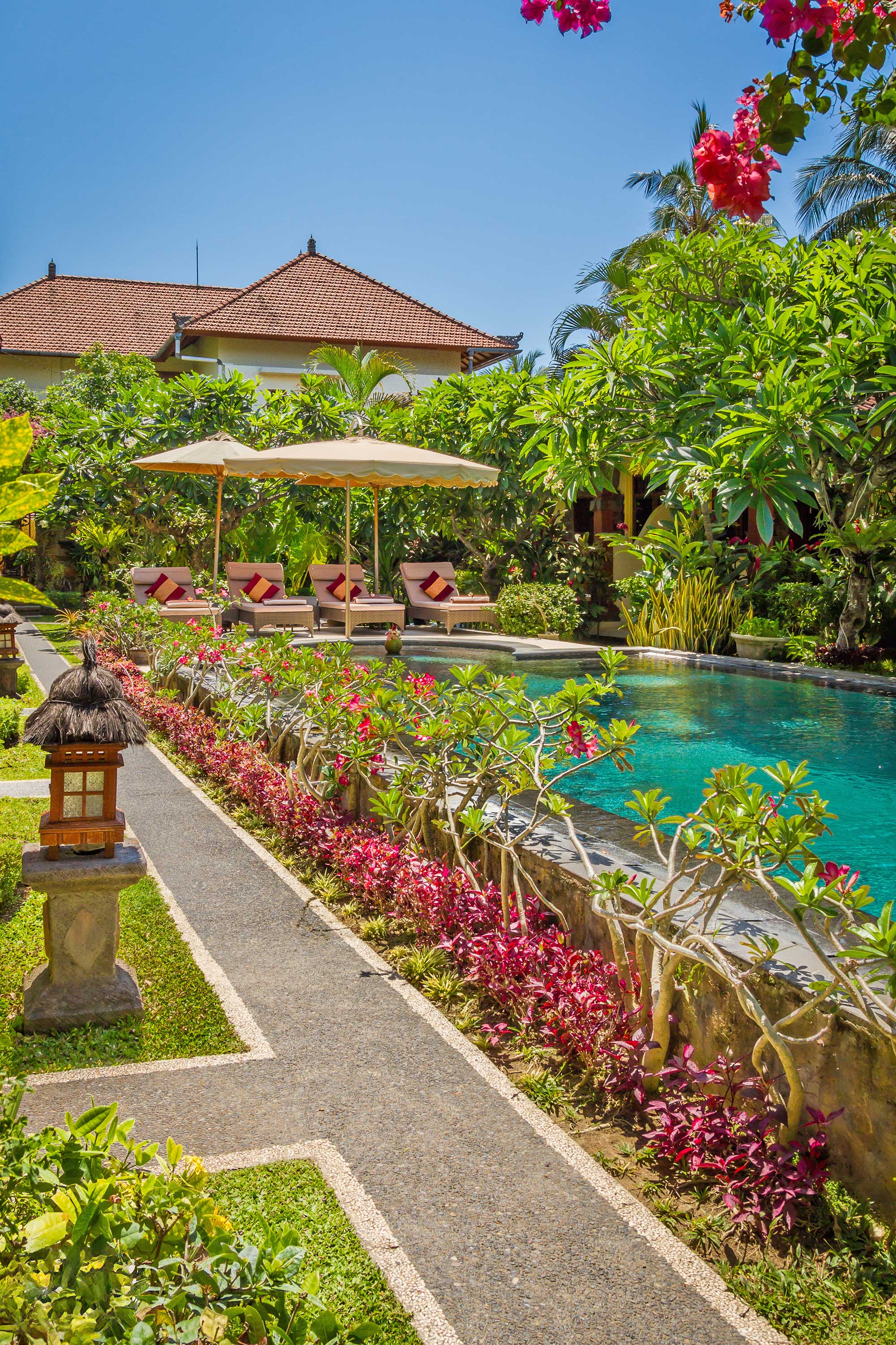 Vertical Pool And Sunbeds