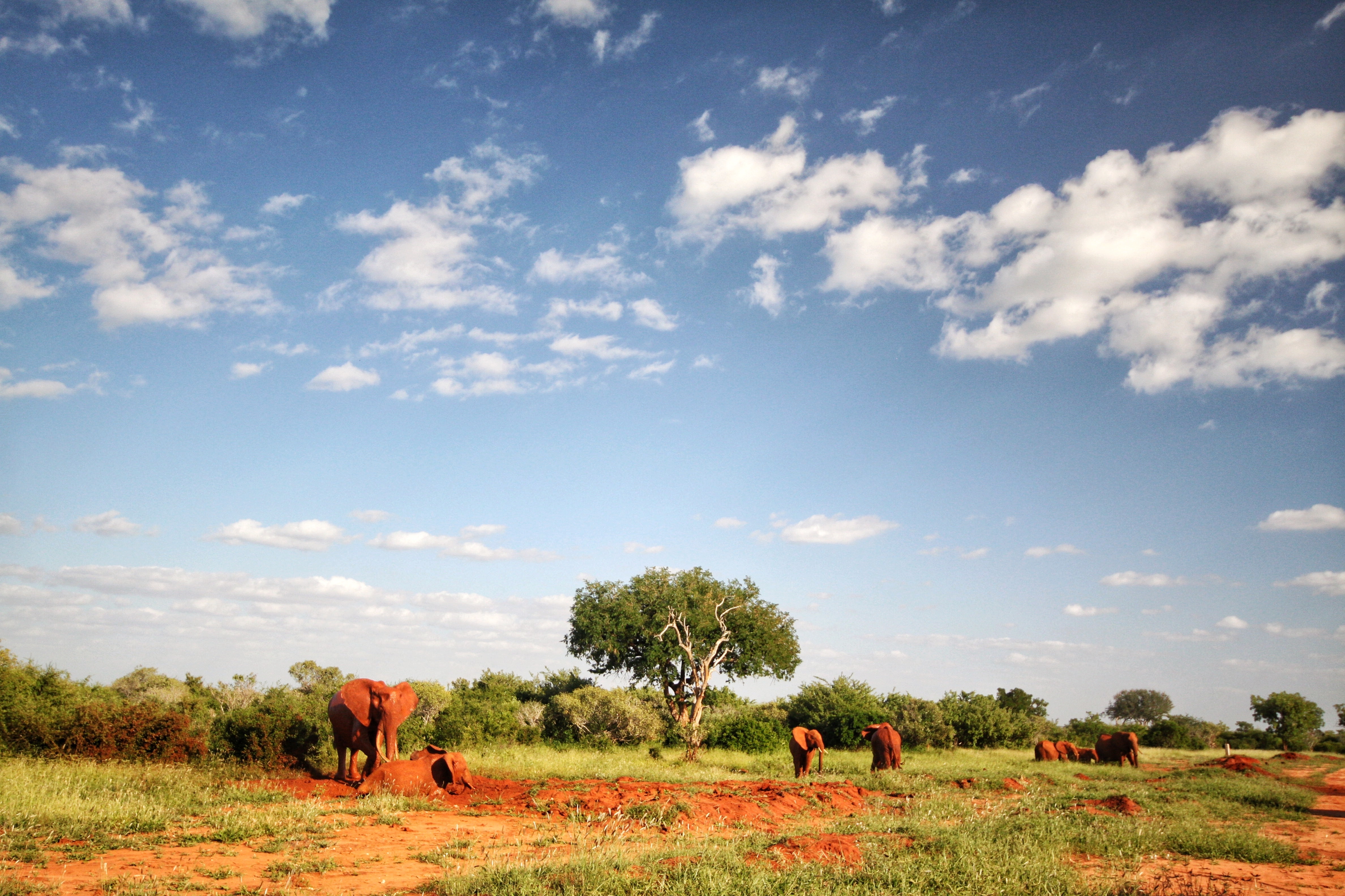 Masai Mara National Park 