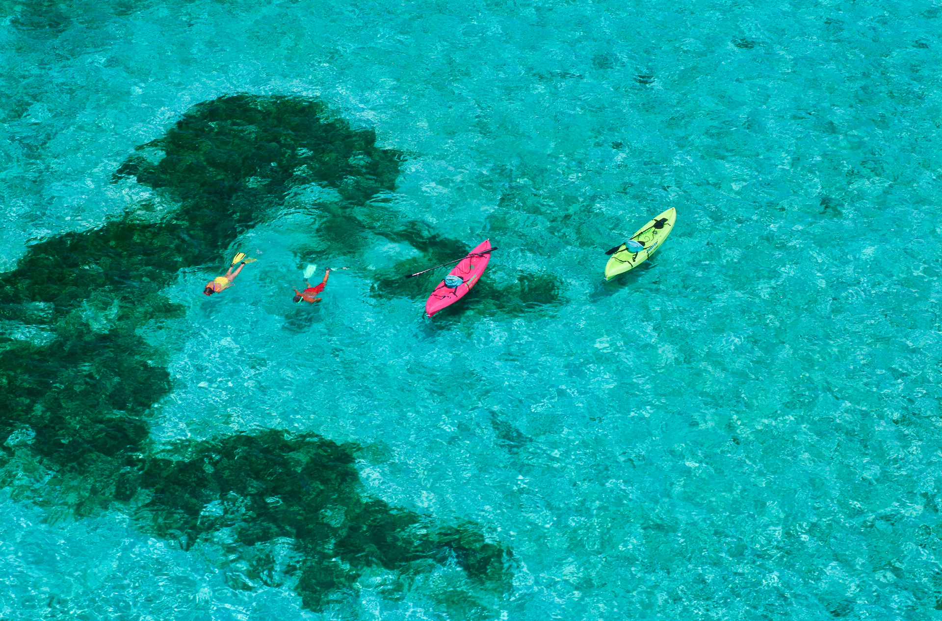 dansk vestindien - st croix_busk island_snorkling_01