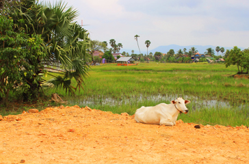 cambodia - cambodia_kampot_01