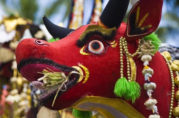 bali - bali_ceremoni_44