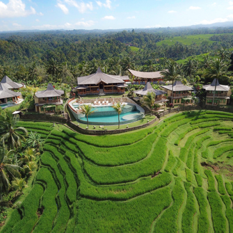 Pool Rice Field From South 1