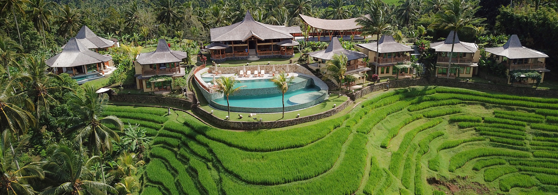 Pool Rice Field From South 1