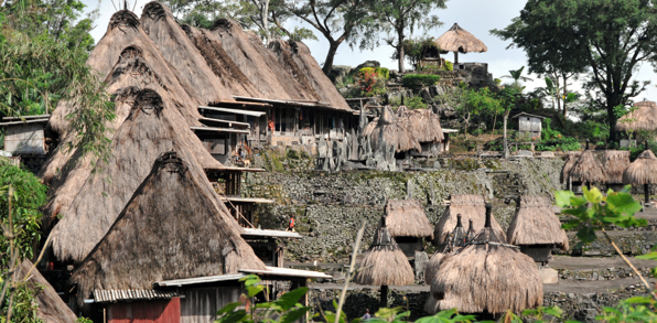 bali - flores_landsby_09