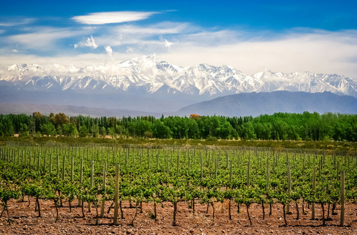 argentina - mendoza_vinmark_01