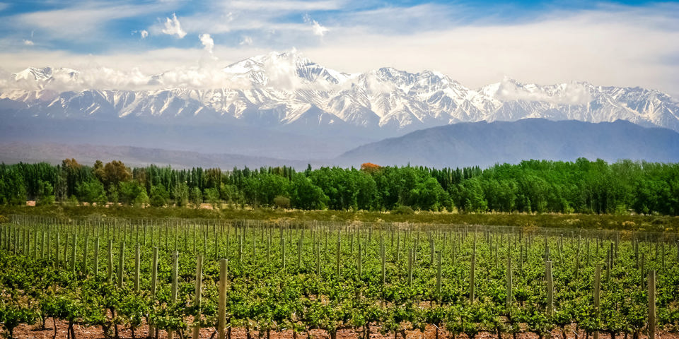 argentina - mendoza_vinmark_01