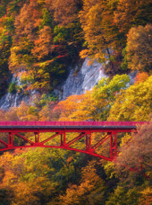 Takayama08