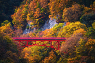 Takayama08
