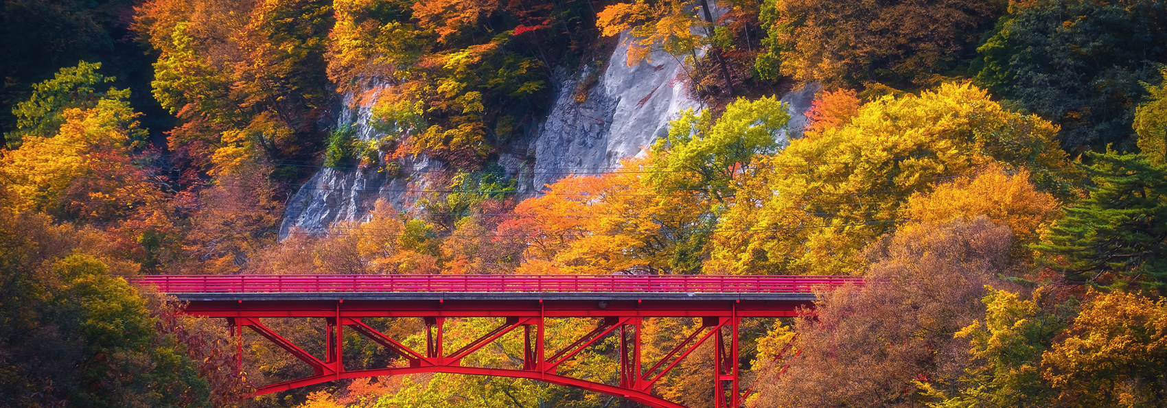 Takayama08