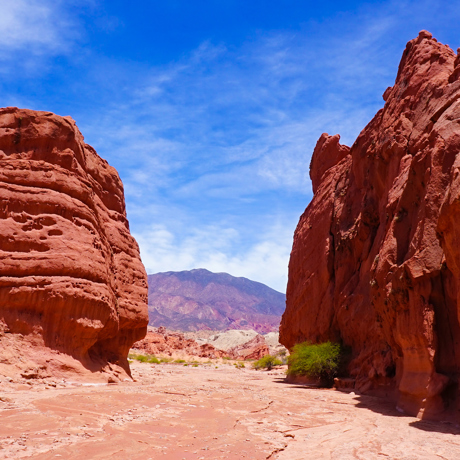 argentina - argentina_cafayate_04