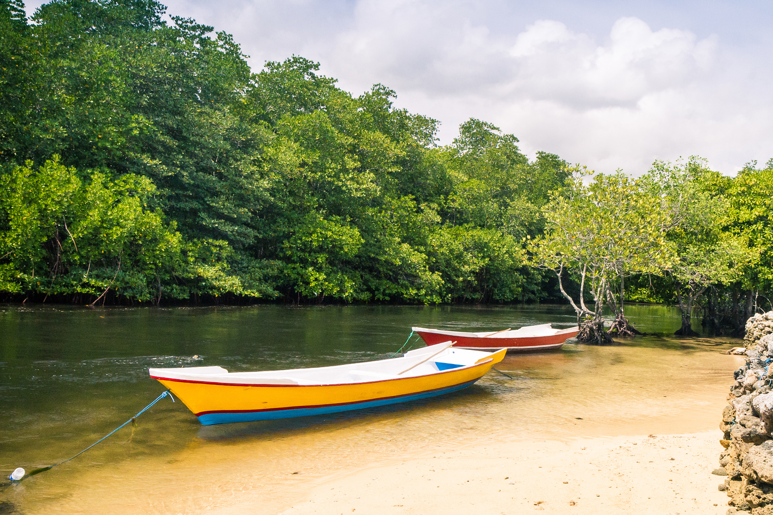 ...eller en bådtur i mangroveskove.