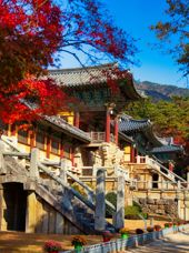 Sydkorea Gyeongju Bulguksa Templet Efterår