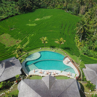 Pool Rice Field From Top 4