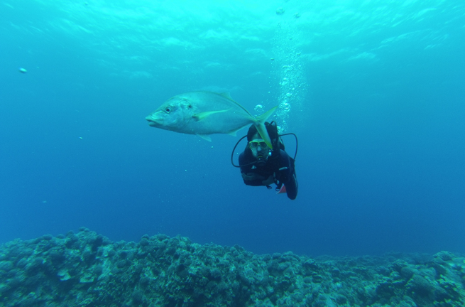 Påskeøen Dykning 01