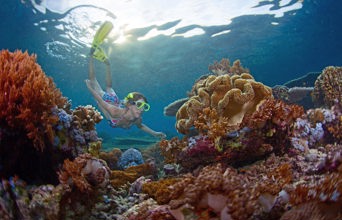 bali - bali_snorkling_01