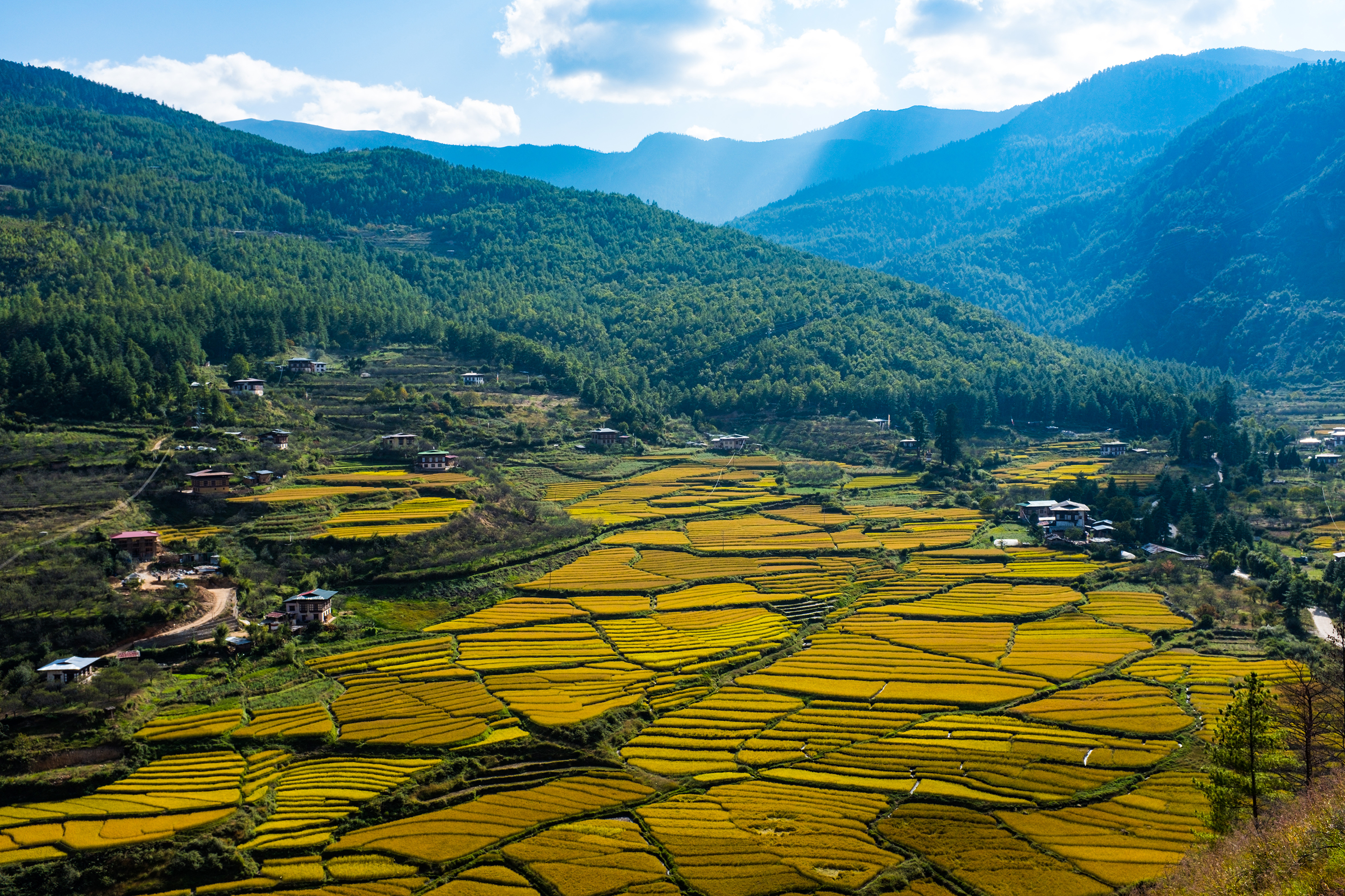 Bhutan Paro Adobestock 296323521