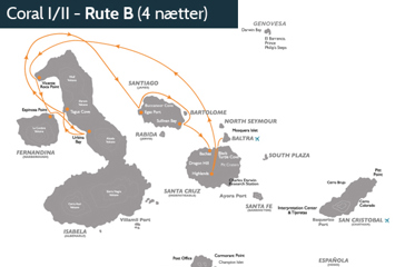 Coral_rute_B