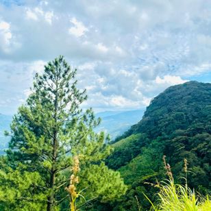 Pekoe Trail Stage 2 Højland Vandring 2536018311