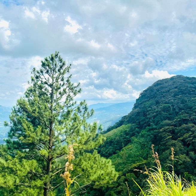 Pekoe Trail Stage 2 Højland Vandring 2536018311