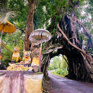 bali - pekutatan_banyantrae_01