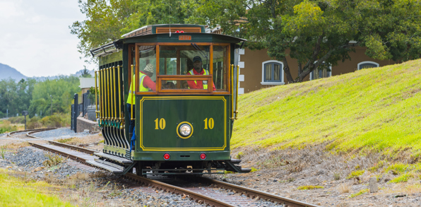 sydafrika - stellenbosch_vinmark_11