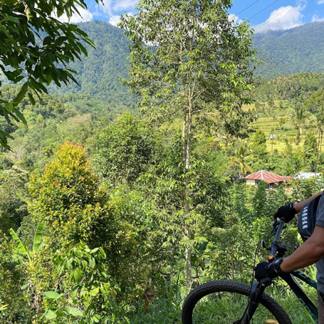 bali - Cykel_Sudaji_02