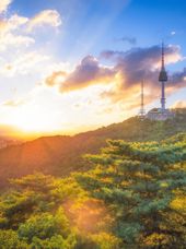 Seoul N Seoul Tower 2496905125