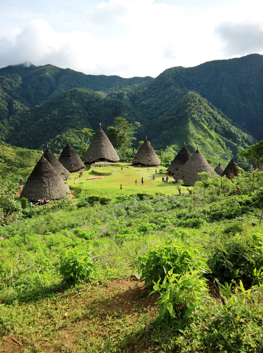 Flores Stammelandsby Ss 1097239745