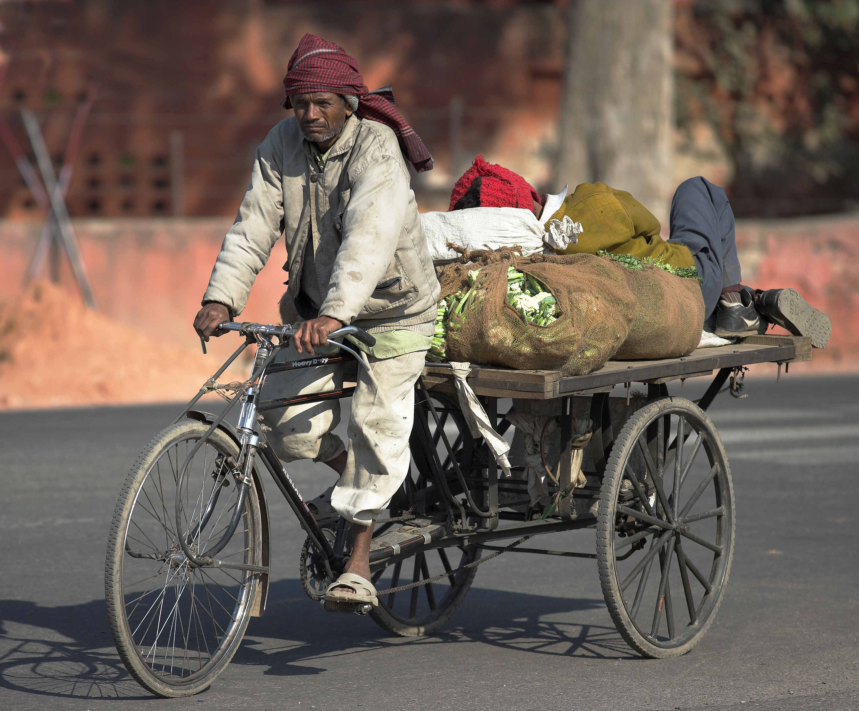Indien - new delhi_befolkning_mand_cykel_01