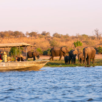 Chobe National Park Bådtur
