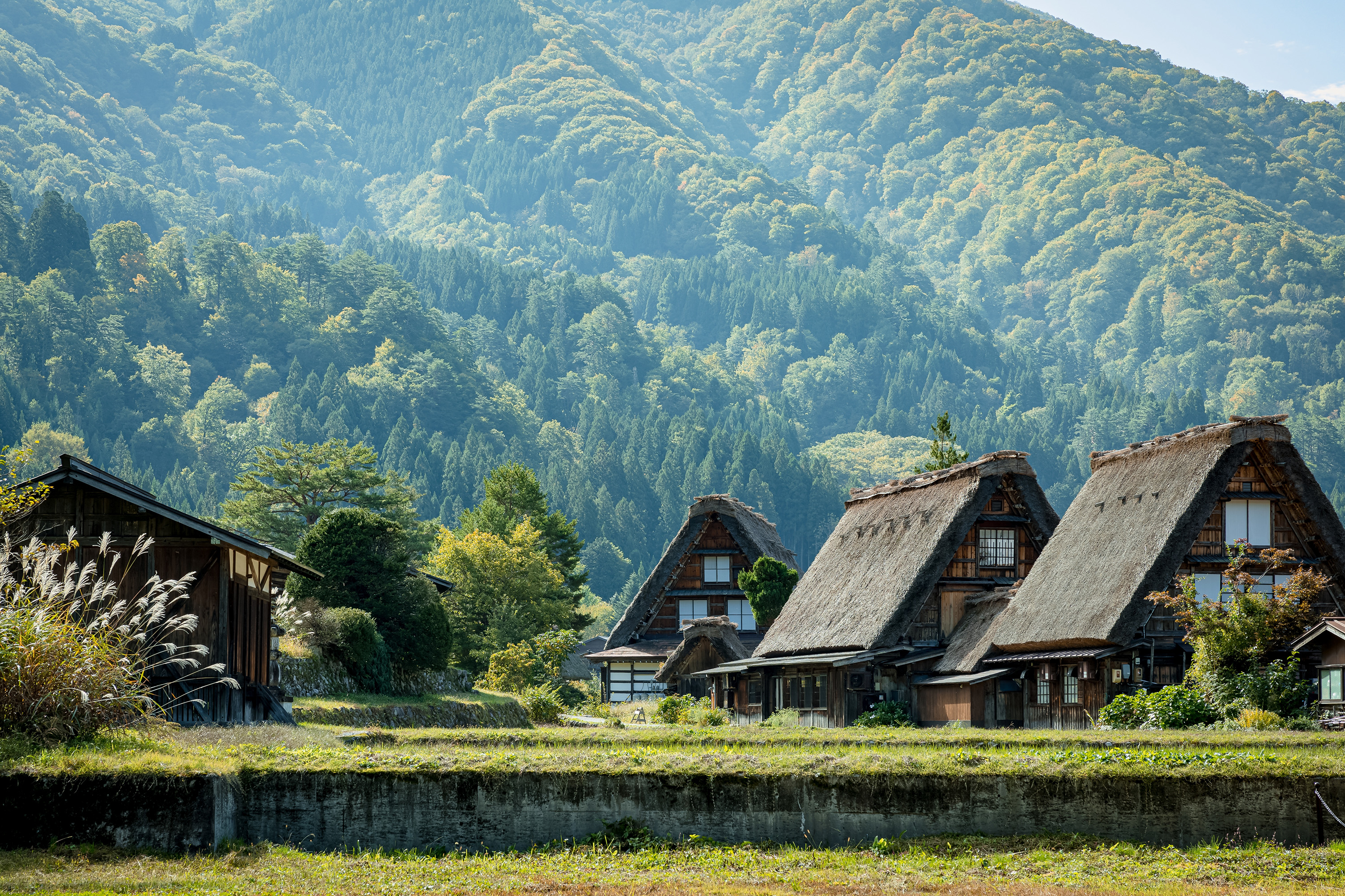 Shirakawago Village 02