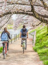 Cykling I Kyoto 1278484027