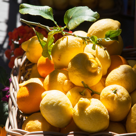 maiori_amalfi kysten_citron_05