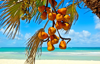 kenya_diani_beach_06