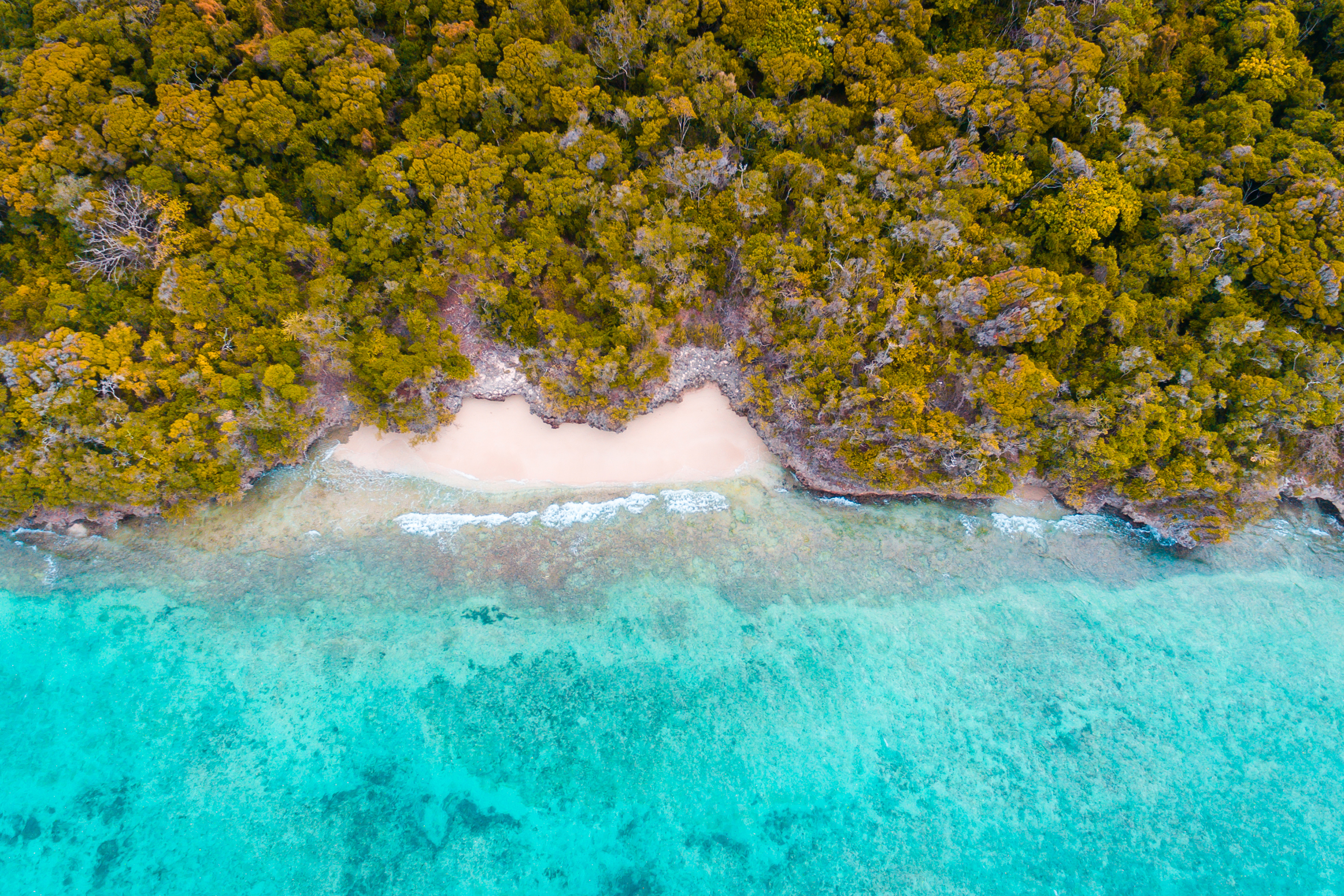 zanzibar_snorkel_pungume island_01