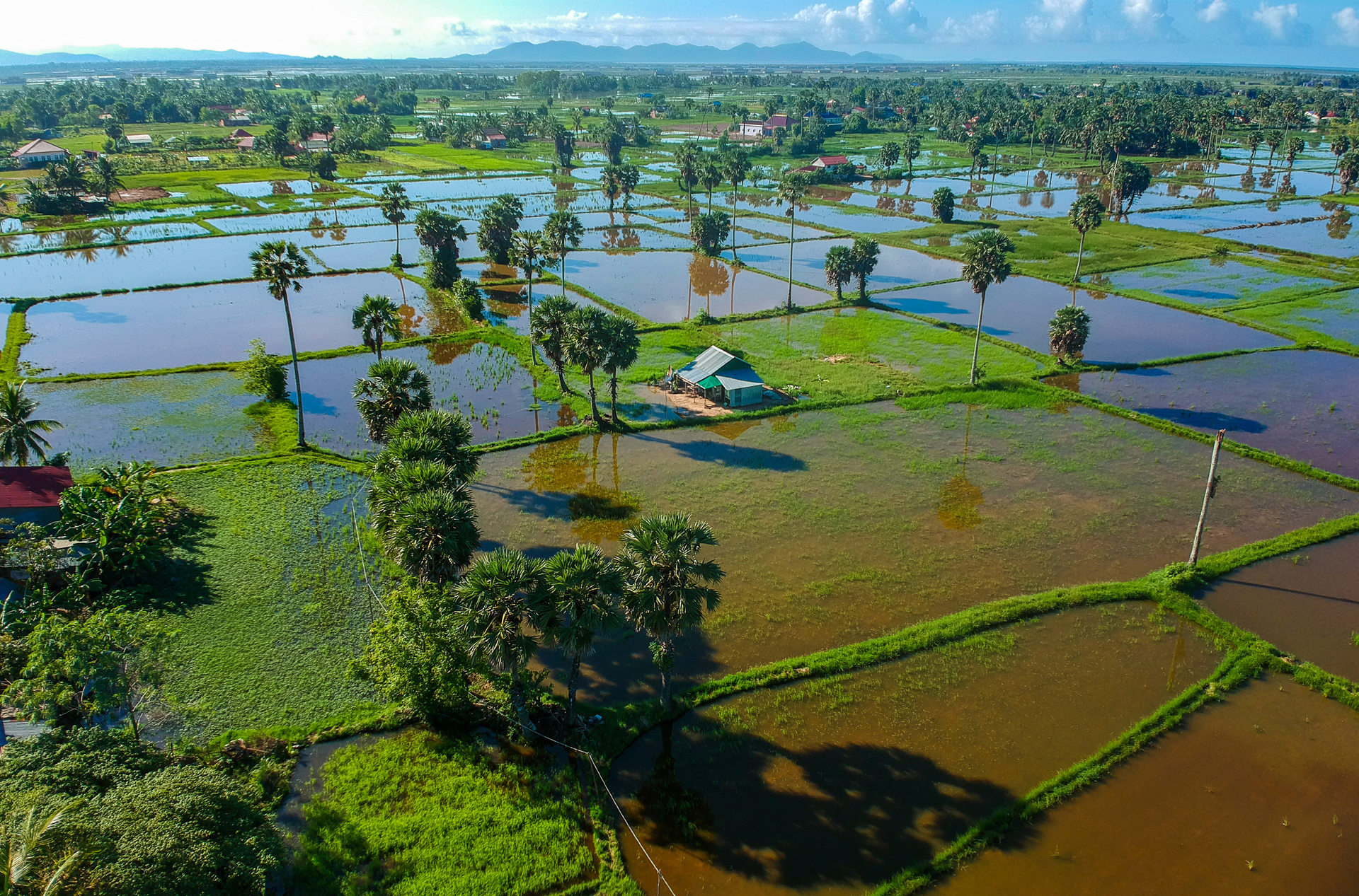 Kompot Rismark 1149951752