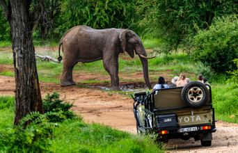 Nyati Safari Lodge 06