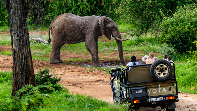 Nyati Safari Lodge 06