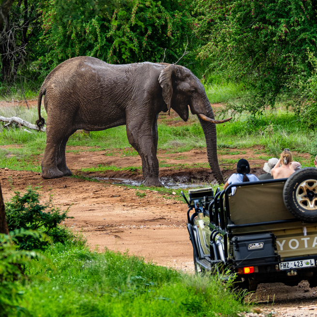 Nyati Safari Lodge 06