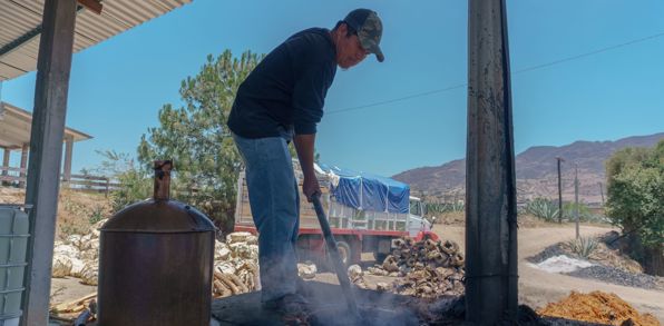 Mezcal Destillery 01 2162031593