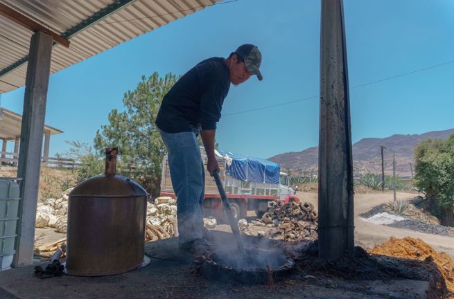 Mezcal Destillery 01 2162031593