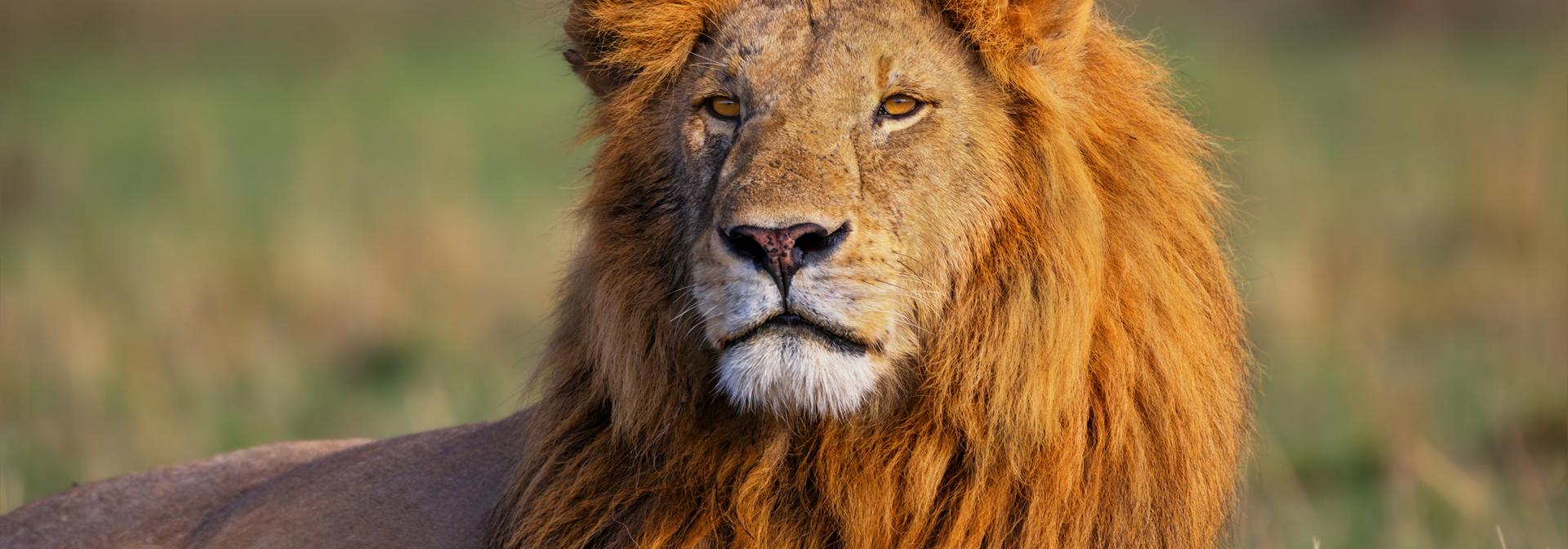 kenya_masai_mara_hanloeve_02