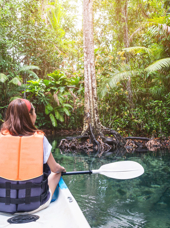 Mangrove Kajaktur Bagfra