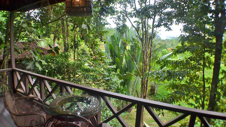 sepilok forest edge resort_standard chalet_terasse_01