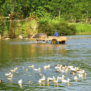 vietnam - sapa_turbine_02