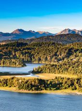 Argentina Bariloche Llao Llao Patagonian Forest