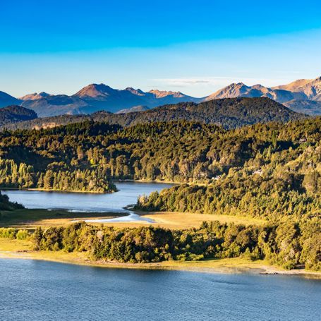 Argentina Bariloche Llao Llao Patagonian Forest