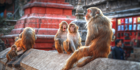 nepal - nepal_kathmandu_abetempel_02