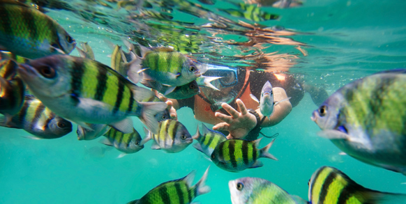 malaysia - langkawi_snorkling_01