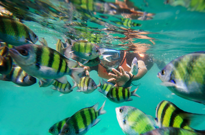 malaysia - langkawi_snorkling_01